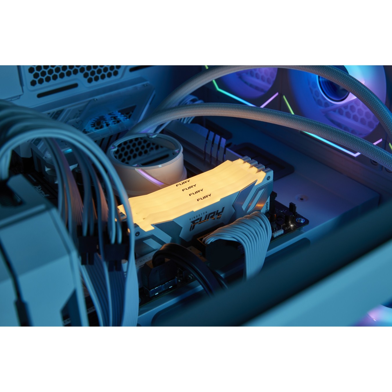 KINGSTON 64GB 6400MT/s DDR5 CL32 DIMM Kit of 2 - FURY Renegade RGB White - XMP — Buy in Cyprus with Fast Delivery