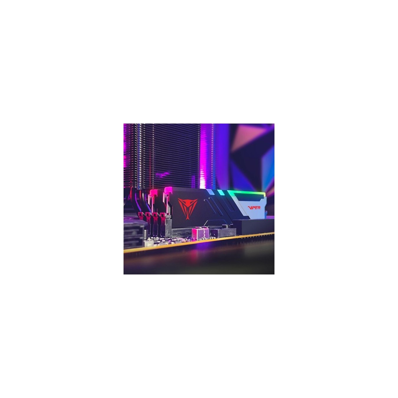 Patriot DIMM 5200 - PVVR564G520C40K - 64 GB kit, 2x32 GB, DDR5-5200 CL40, Unbuffered, Heatsink, Black Viper Venom RGB, Intel XMP