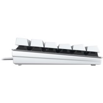 Cherry Keyboard KC 200 - KC 200 - Silver/White, 100% Full-size, Wired USB, Cherry MX Silent Red, German QWERTZ