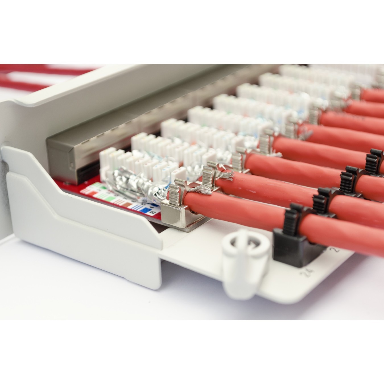 DIGITUS Patchpanel 1U 24-Port Cat6a Shielded Light Grey — Buy in Cyprus with Fast Delivery