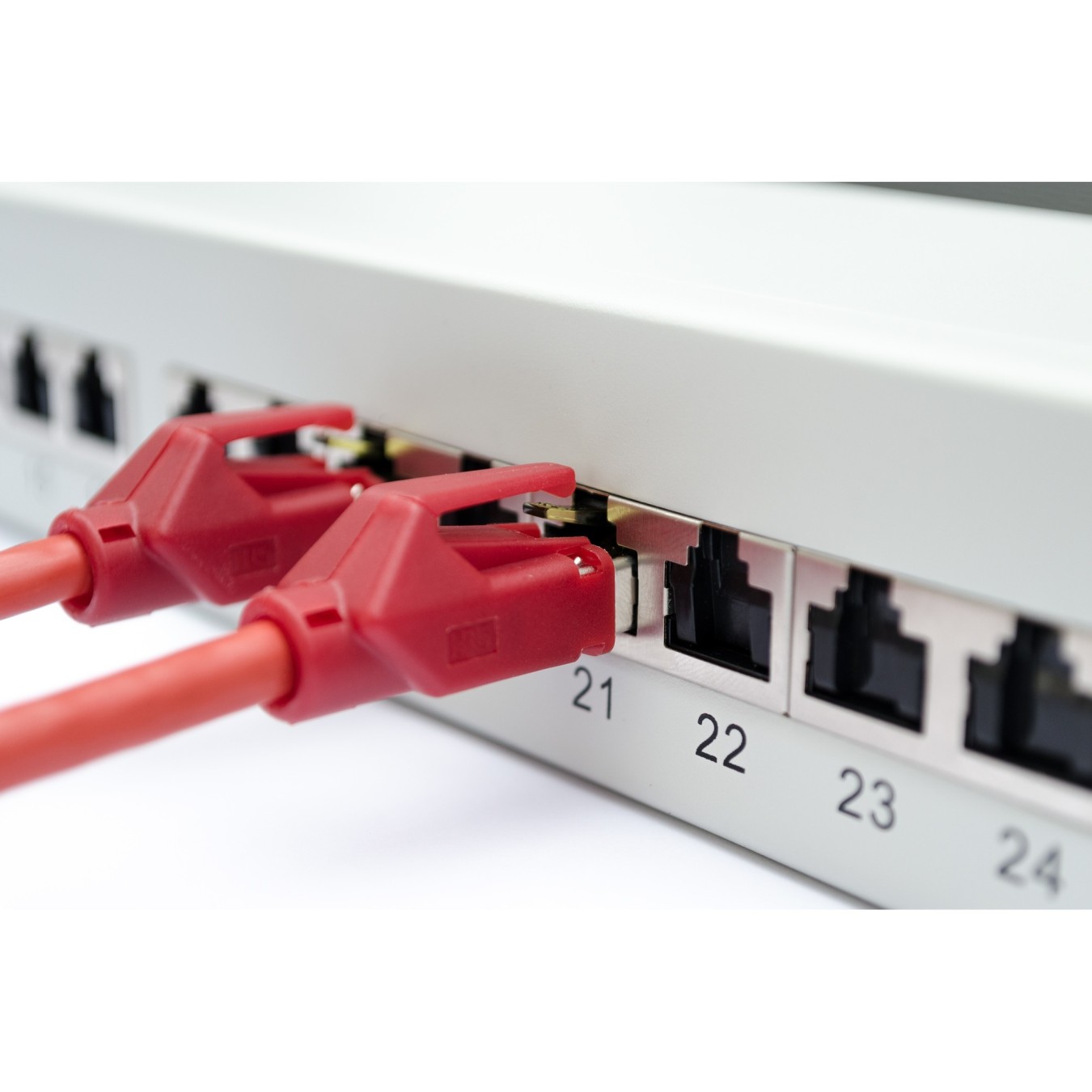 DIGITUS Patchpanel 1U 24-Port Cat6a Shielded Light Grey — Buy in Cyprus with Fast Delivery