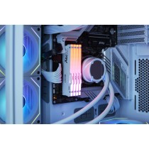 Kingston FURY Beast DDR5-5600 CL40 32GB (2x16GB) White RGB XMP — Buy in Cyprus with Fast Delivery
