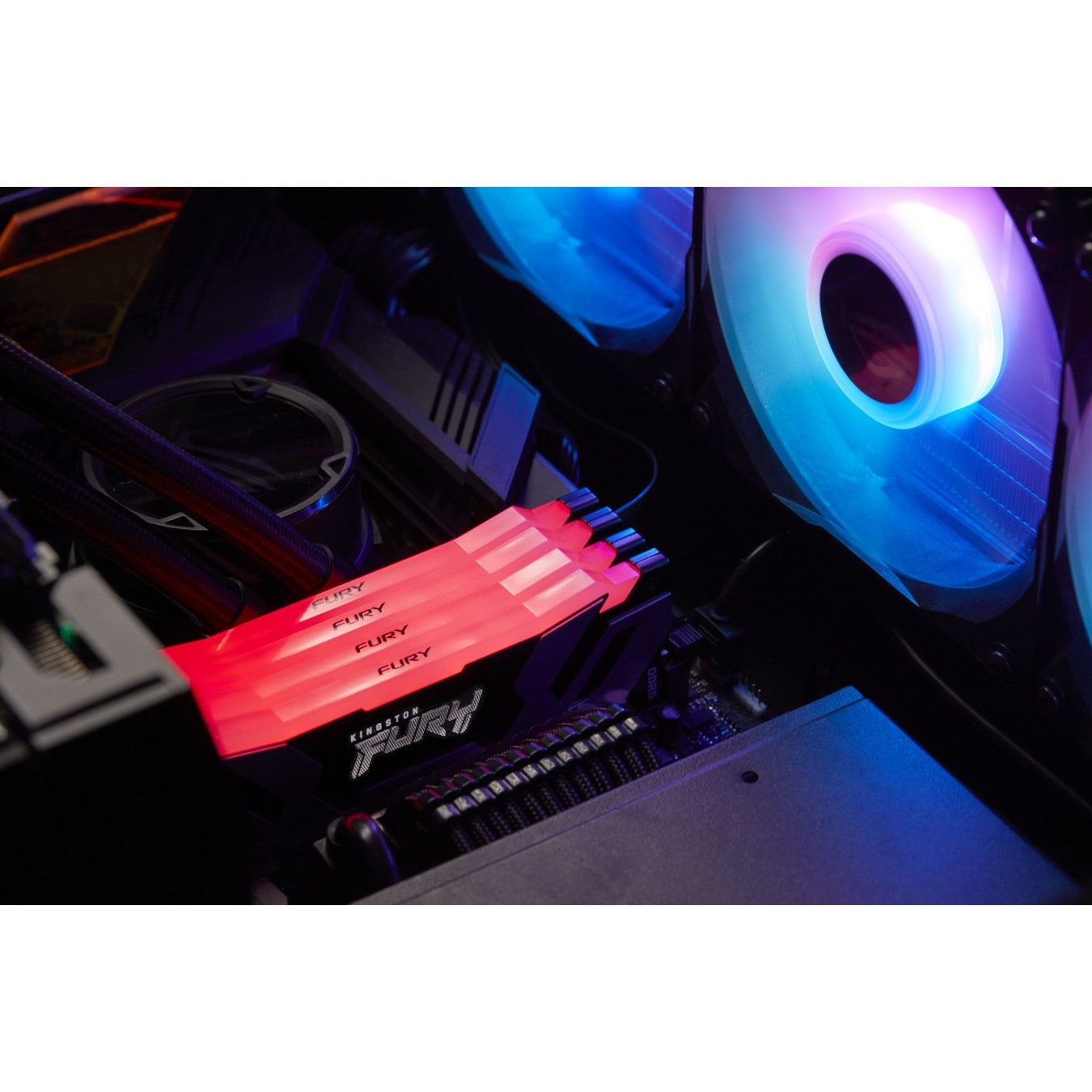Kingston FURY Renegade DDR5 96GB (2x48GB) 6000MT/s CL32 DIMM Kit RGB XMP — Buy in Cyprus with Fast Delivery