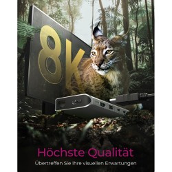 ICY BOX IB-DK4061-CPD USB-C 12-in-1 100W PD Dock - 2x HDMI 8K, GbE, Cards — Armenius Store Cyprus