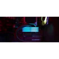 Kingston 16GB DDR4-3200 CL16 DIMM FURY Beast RGB - Characteristics (DDR4-3200, CL16, 16GB, RGB)