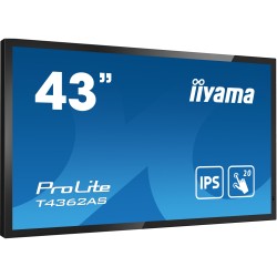 Buy 43-Inch 4K IPS Monitor - T4362AS-B1 - Flat IPS Panel in Cyprus, Nicosia, Limassol, Larnaka, Pafos