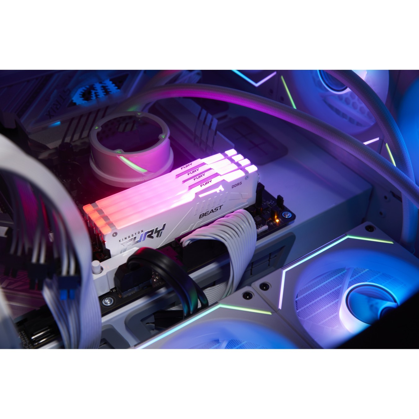 KINGSTON 64GB 6400MT/s DDR5 CL32 DIMM Kit of 2 FURY Beast White RGB EXPO — Buy in Cyprus with Fast Delivery