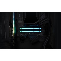 Kingston FURY Beast RGB 2x8GB DDR5-5600 CL40 DIMM Kit — Buy in Cyprus with Fast Delivery — Armenius Store Cyprus