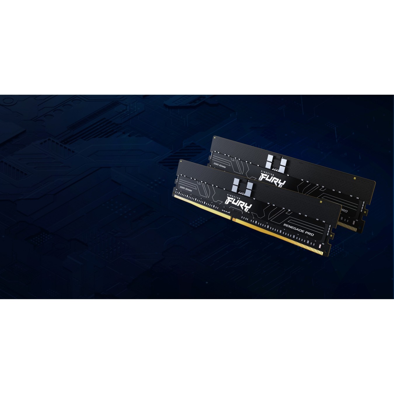 KINGSTON FURY Renegade Pro 16GB DDR5-4800 ECC Registered DIMM CL36 PnP - Black — Buy in Cyprus with Fast Delivery