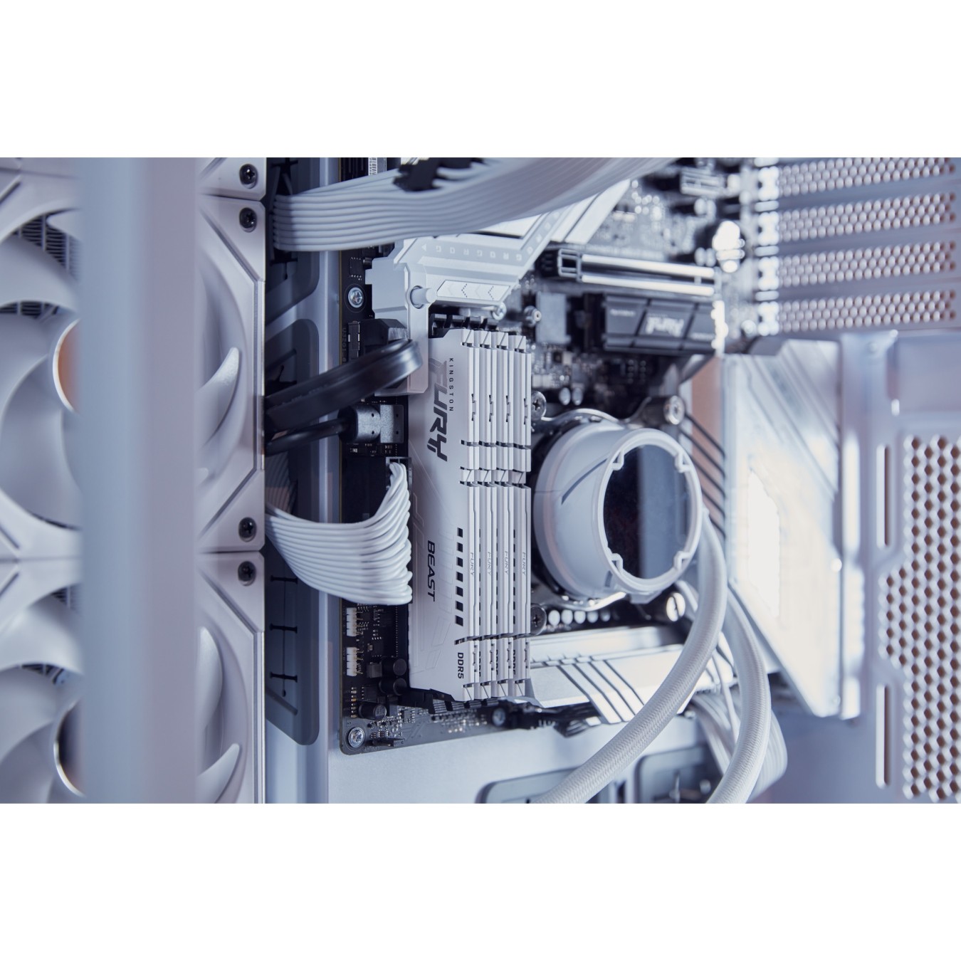 Kingston Fury Beast DDR5 16GB 6000MT/s CL30 EXPO UDIMM White — Buy in Cyprus with Fast Delivery