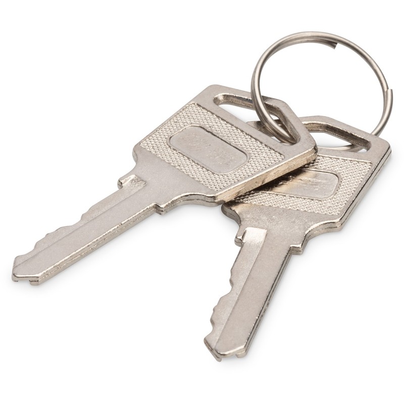 Buy Digitus Locker Locking Keys for Loading Lockers - 347329 - Silver, 2 pcs in Cyprus, Nicosia, Limassol, Larnaka, Pafos
