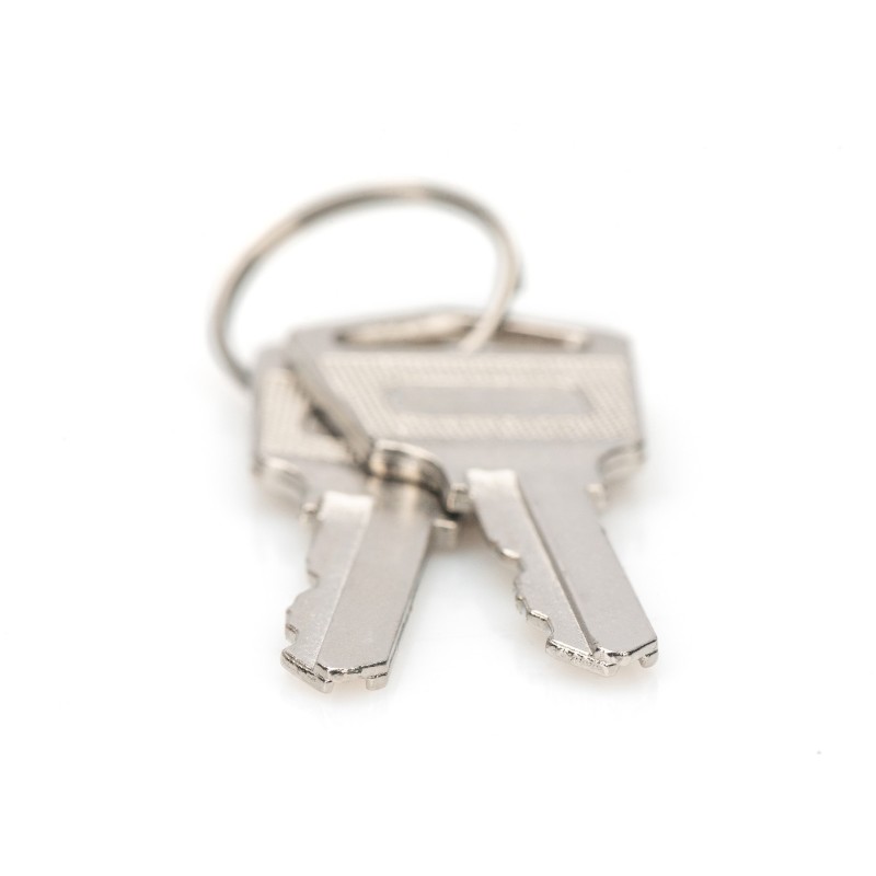 Buy Digitus Locker Locking Keys for Loading Lockers - 347329 - Silver, 2 pcs in Cyprus, Nicosia, Limassol, Larnaka, Pafos