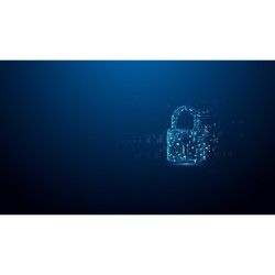 Buy Kingston IronKey USB-Stick 32GB - D500S - Black, USB 3.2 Gen1, AES-256, FIPS... in Cyprus, Nicosia, Limassol, Larnaka, Pafos