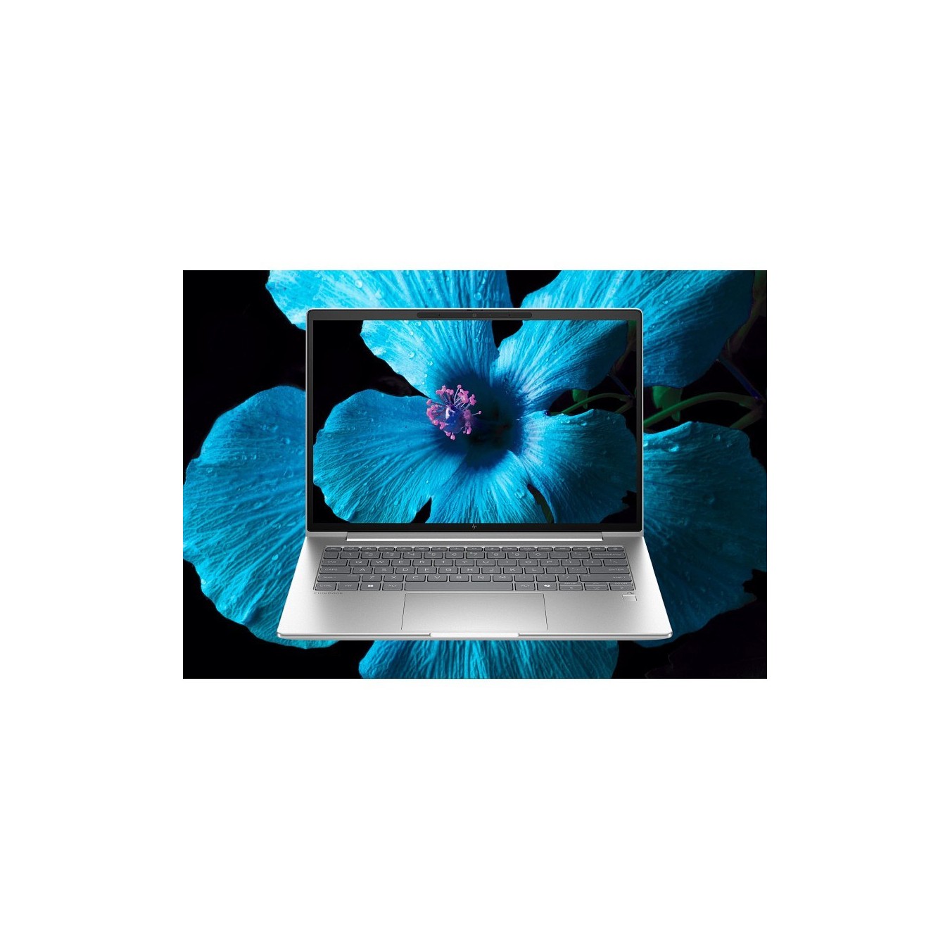 HP EliteBook 6 G1q Qualcomm Snapdragon X Plus X1P-42-100 35.56cm 14Zoll WUXGA 32GB 1TB SSD W11P SmartBuy 1J Gar (DE)