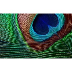 Buy Epson - EH-TW7000 - (3840x2160) Epson 3000-Lumen 3-LCD 3D 16:9 2xUSB2.0-A US... in Cyprus, Nicosia, Limassol, Larnaka, Pafos