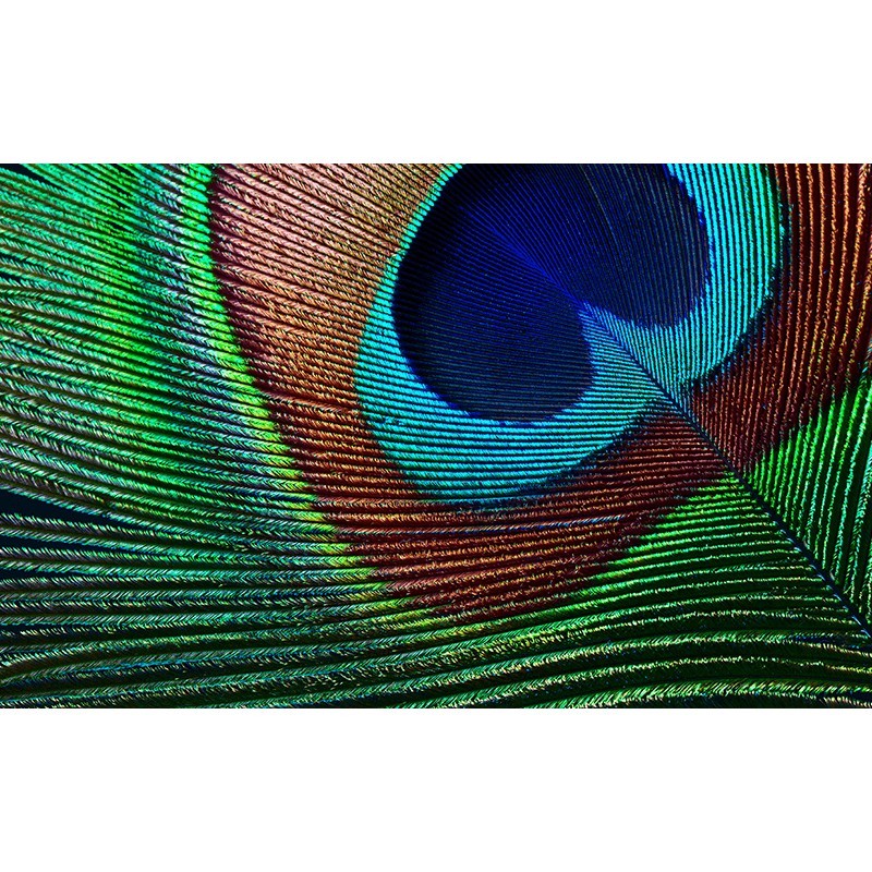 Buy Epson - EH-TW7000 - (3840x2160) Epson 3000-Lumen 3-LCD 3D 16:9 2xUSB2.0-A US... in Cyprus, Nicosia, Limassol, Larnaka, Pafos