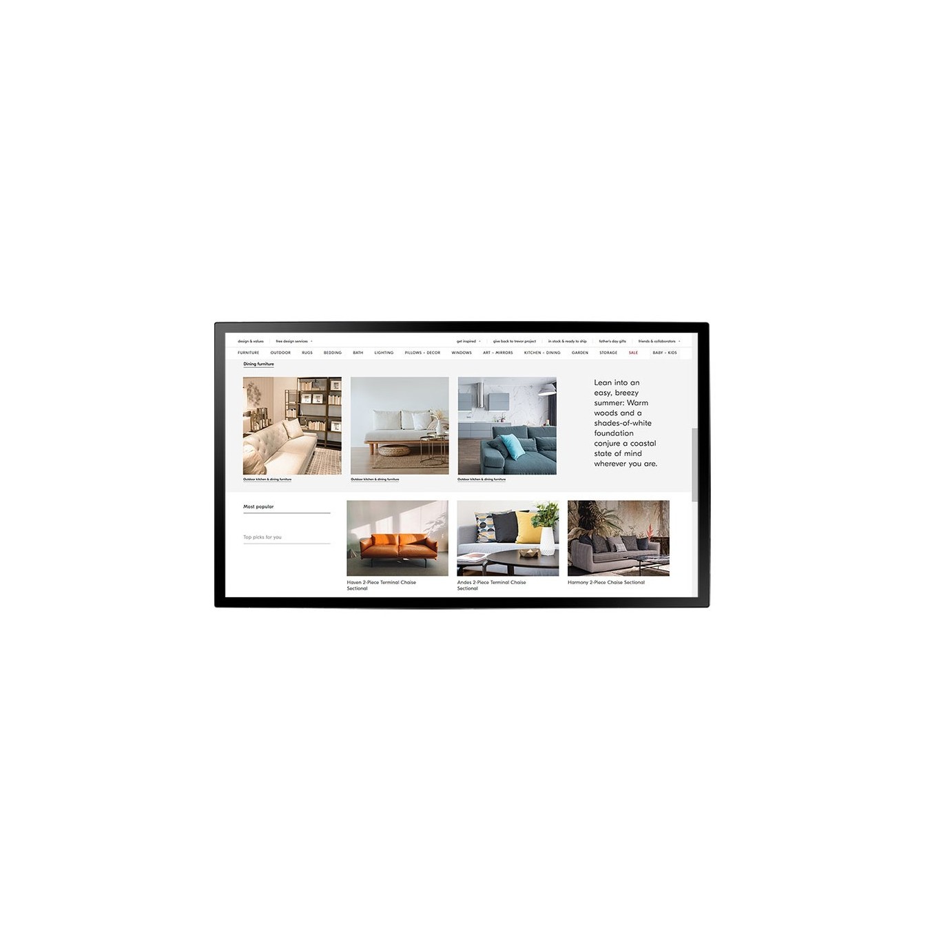 AG neovo - TX-4302 - 109.2cm 10 Point Touch black — Buy in Cyprus with Fast Delivery