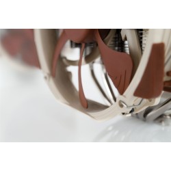 Buy Noctua NH-D15 - Dual-Tower CPU Cooler - 2x 140mm PWM Fans, Beige/Brown, 165m... in Cyprus, Nicosia, Limassol, Larnaka, Pafos