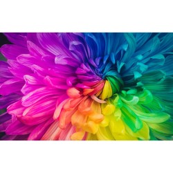 Buy Epson Projector - EF-12 - 1920x1080 16:9 1000-Lumen Laser HDMI USB2.0-A Andr... in Cyprus, Nicosia, Limassol, Larnaka, Pafos