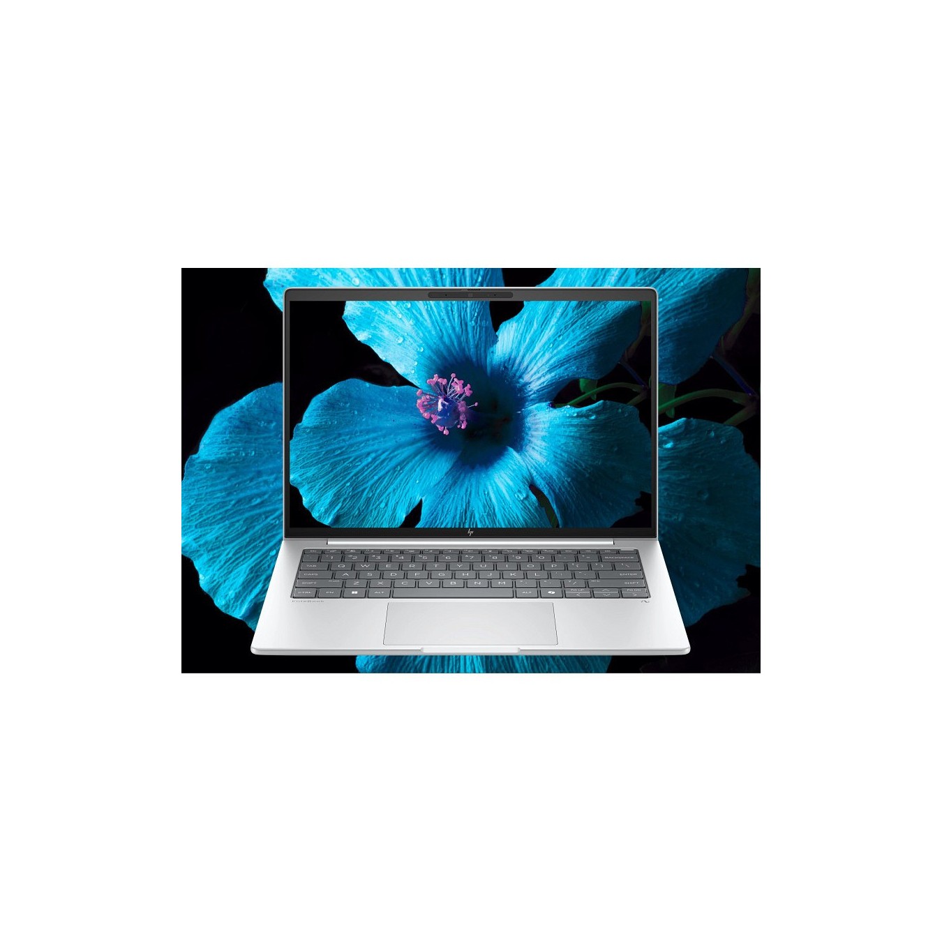 HP EliteBook - 8 G1a - AMD Ryzen AI 7 350 35.56 cm (14-inch) WUXGA 64 GB 1 TB SSD Windows 11 Pro SmartBuy 3-Year Warranty (DE)
