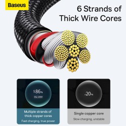 Baseus Tungsten Gold USB-C to USB-A 100W 2m Cable Black (Boxed) — Buy in Cyprus with Fast Delivery