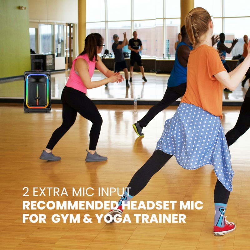 Buy SonicGear Portable Karaoke Speaker - 1300 Pro - 12'' 240W TWS BT USB 2x Mics... in Cyprus, Nicosia, Limassol, Larnaka, Pafos