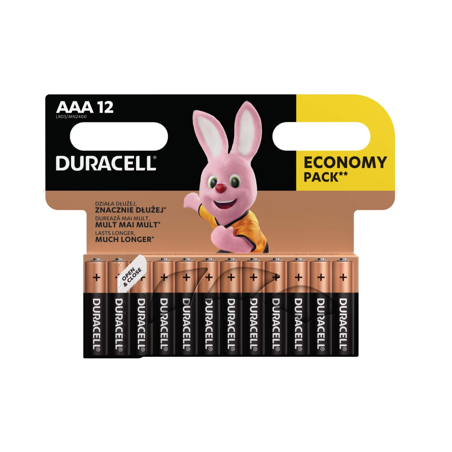 Duracell Alkaline AAA - (12pcs) Basic — Buy in Cyprus with Fast Delivery