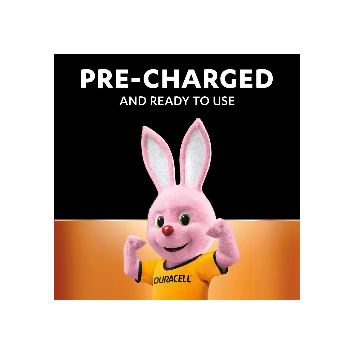 Duracell Rechargeable AAA - 750 mAh (4pcs) — Buy in Cyprus with Fast Delivery