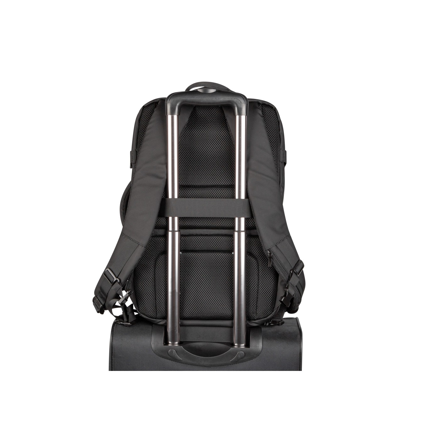 Natec Camel Pro NTO-2116 Laptop Backpack 17.3" Black | Armenius Store