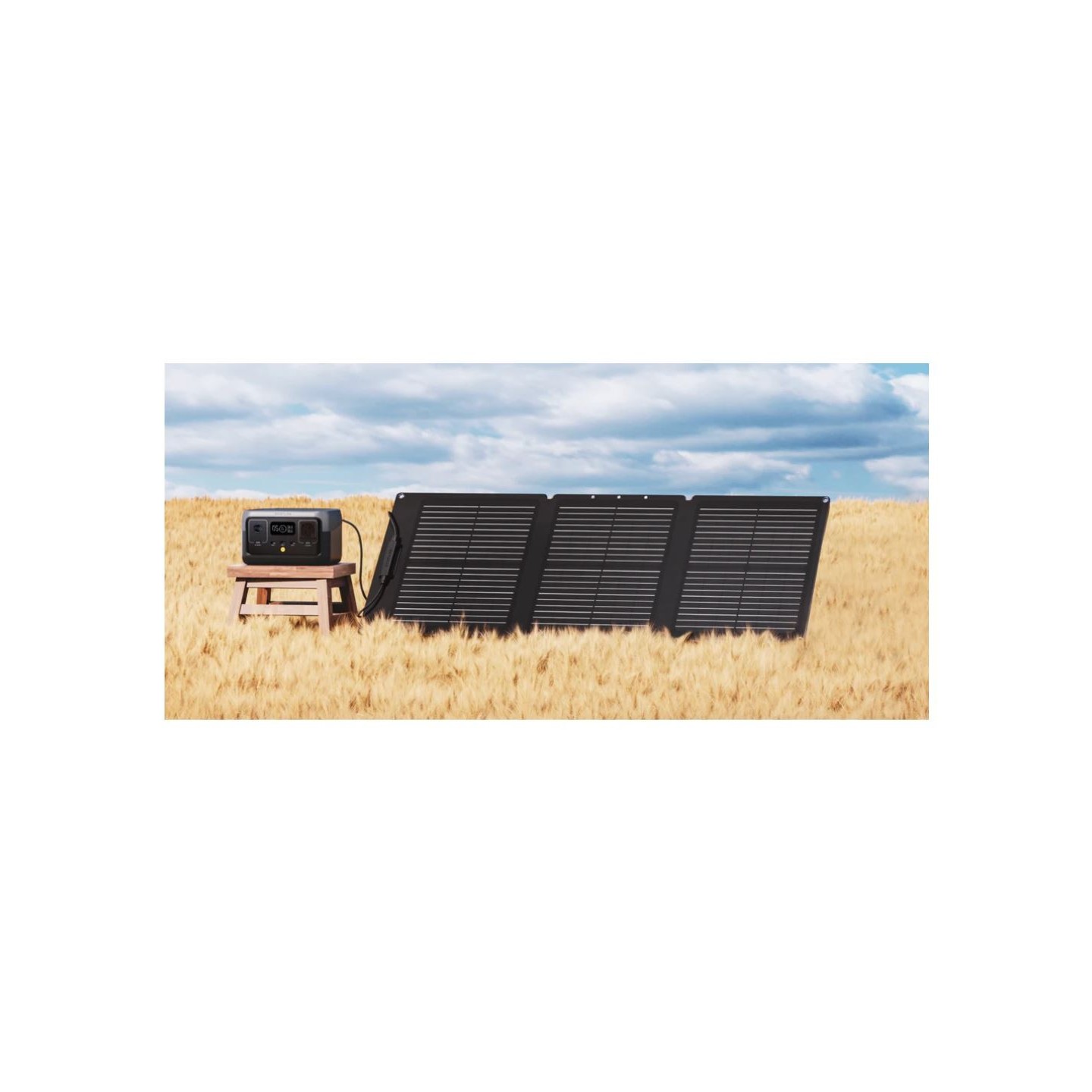 EcoFlow Solar Panel Portable 60W - SPP - Portable, 60W — Buy in Cyprus with Fast Delivery
