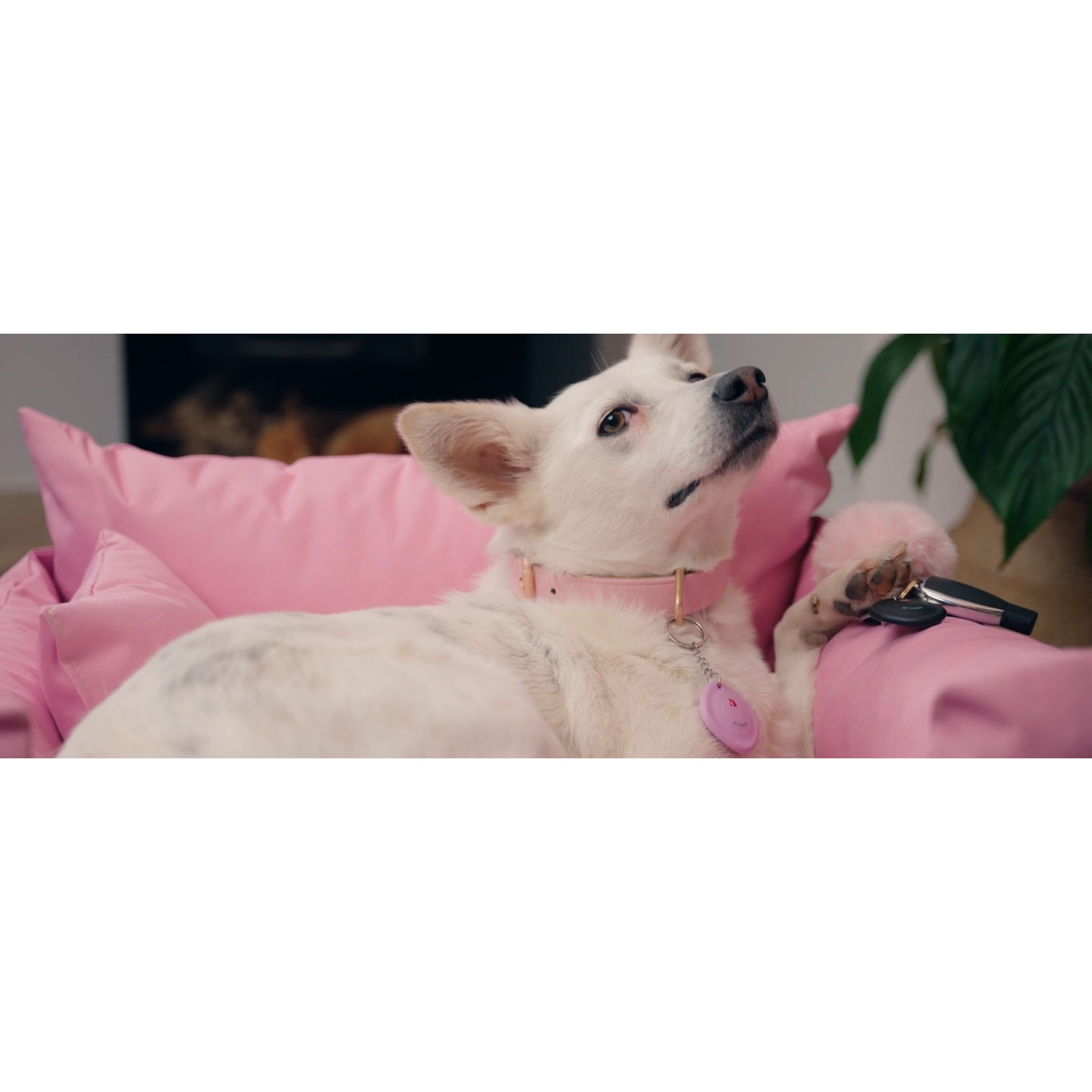 Verbatim My Finder Apple BT Item Finder - MYF-02 - 2-pk Black — Buy in Cyprus with Fast Delivery