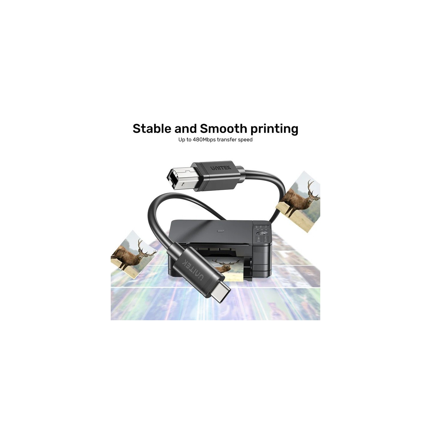 Unitek USB-C 2.0 to USB-B Printer Cable - 5.0m — Buy in Cyprus with Fast Delivery