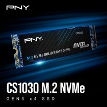 PNY CS1030 M280CS1030-250-RB - M.2 NVMe PCIe Gen3 SSD - 250GB 2500 MB/s | Armenius Store