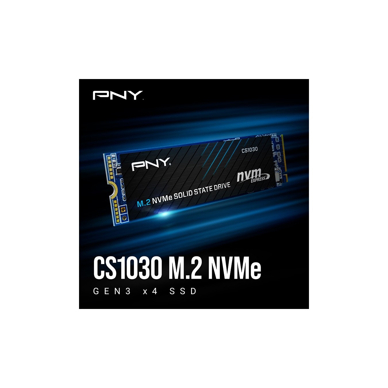 PNY CS1030 M280CS1030-250-RB - M.2 NVMe PCIe Gen3 SSD - 250GB 2500 MB/s | Armenius Store