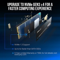 PNY CS1030 M280CS1030-250-RB - M.2 NVMe PCIe Gen3 SSD - 250GB 2500 MB/s | Armenius Store