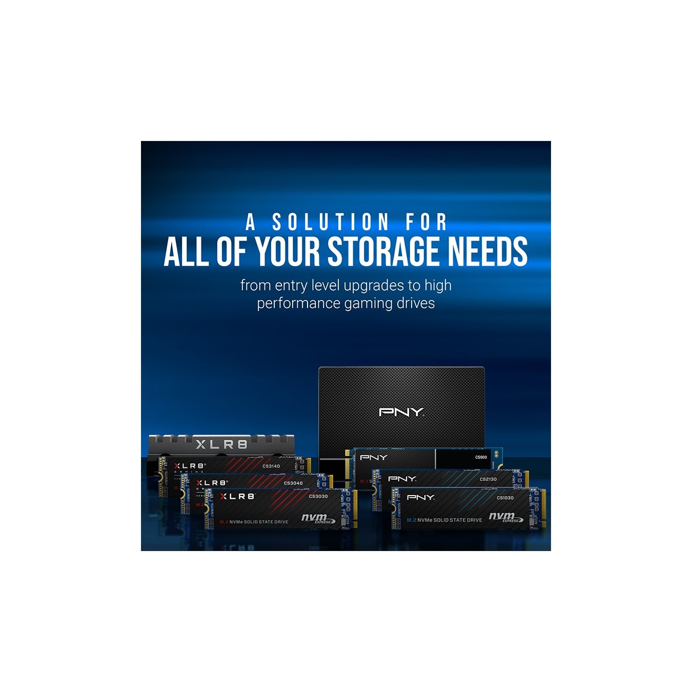 PNY CS1030 M280CS1030-250-RB - M.2 NVMe PCIe Gen3 SSD - 250GB 2500 MB/s | Armenius Store