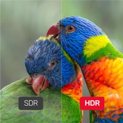 Buy Unitek DisplayPort Cable - C1624BK-3M - DisplayPort 1.4 Cable 8K 60Hz 3.0m in Cyprus, Nicosia, Limassol, Larnaka, Pafos