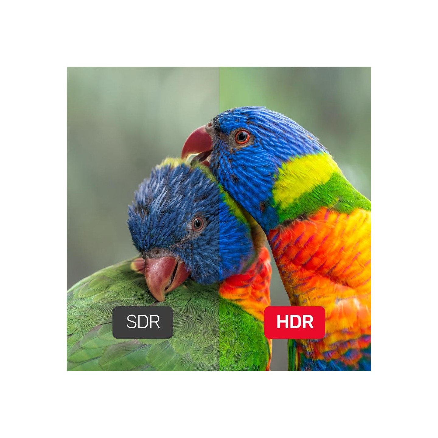 Unitek DisplayPort Cable - C1624BK-3M - DisplayPort 1.4 Cable 8K 60Hz 3.0m — Buy in Cyprus with Fast Delivery