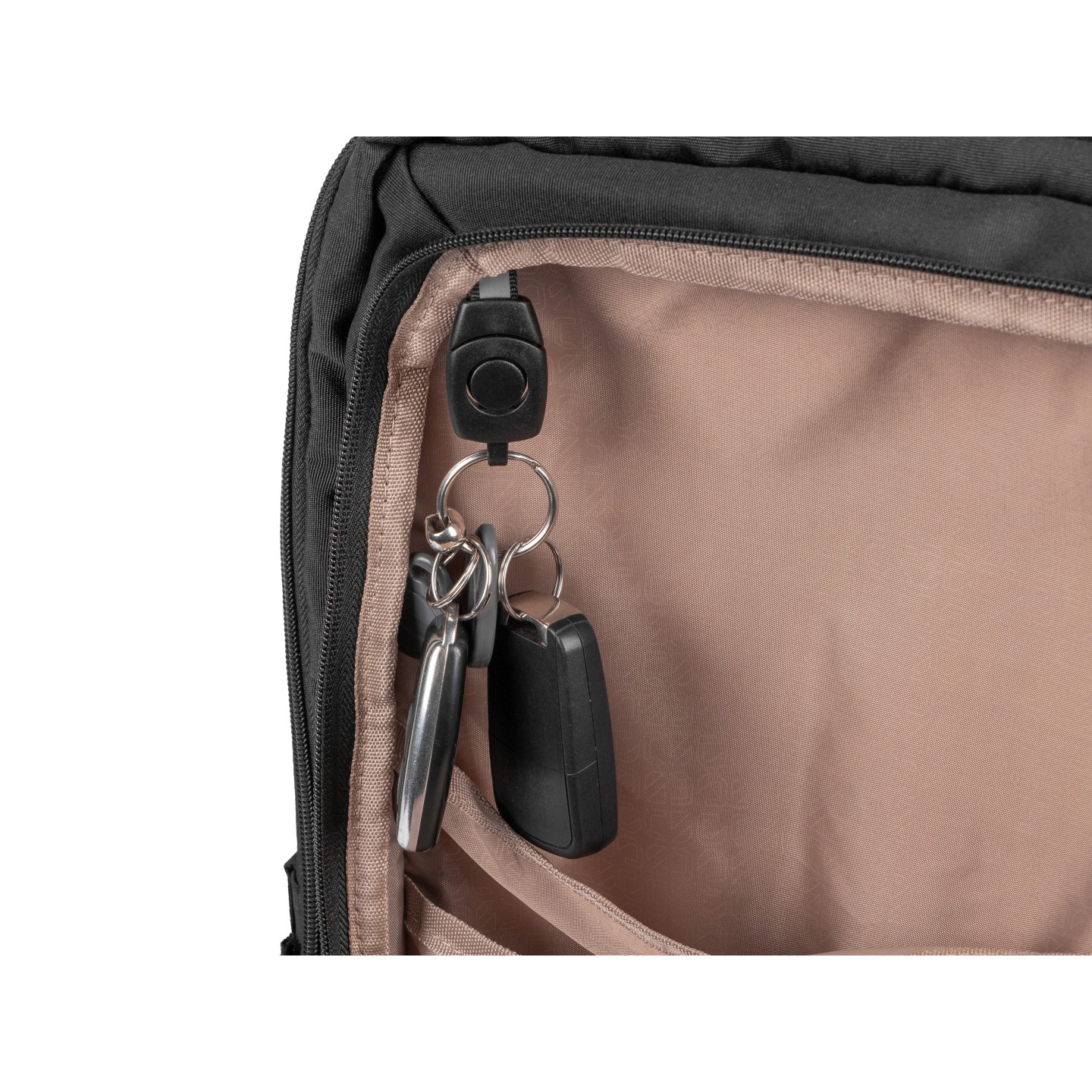 Natec Laptop Backpack - 15.6'' 19L Black CAMEL LITE — Buy in Cyprus with Fast Delivery