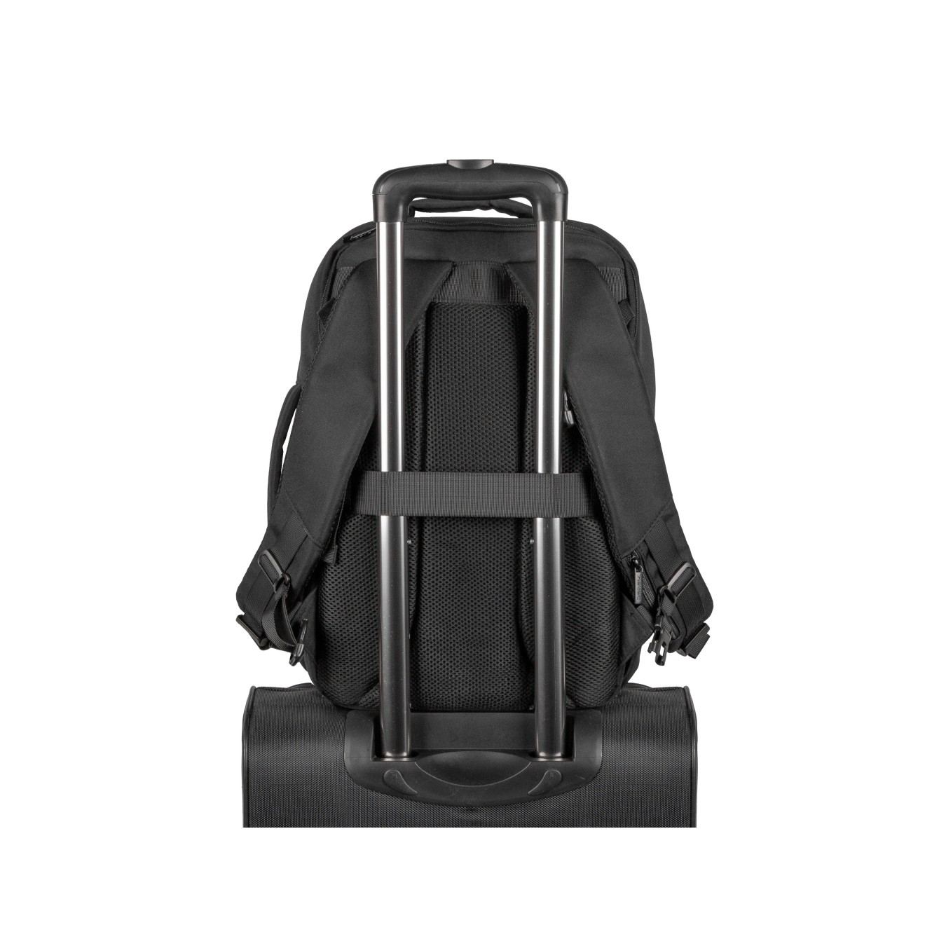 Natec Camel Lite – 15.6" Laptop Backpack 19L | Armenius Store