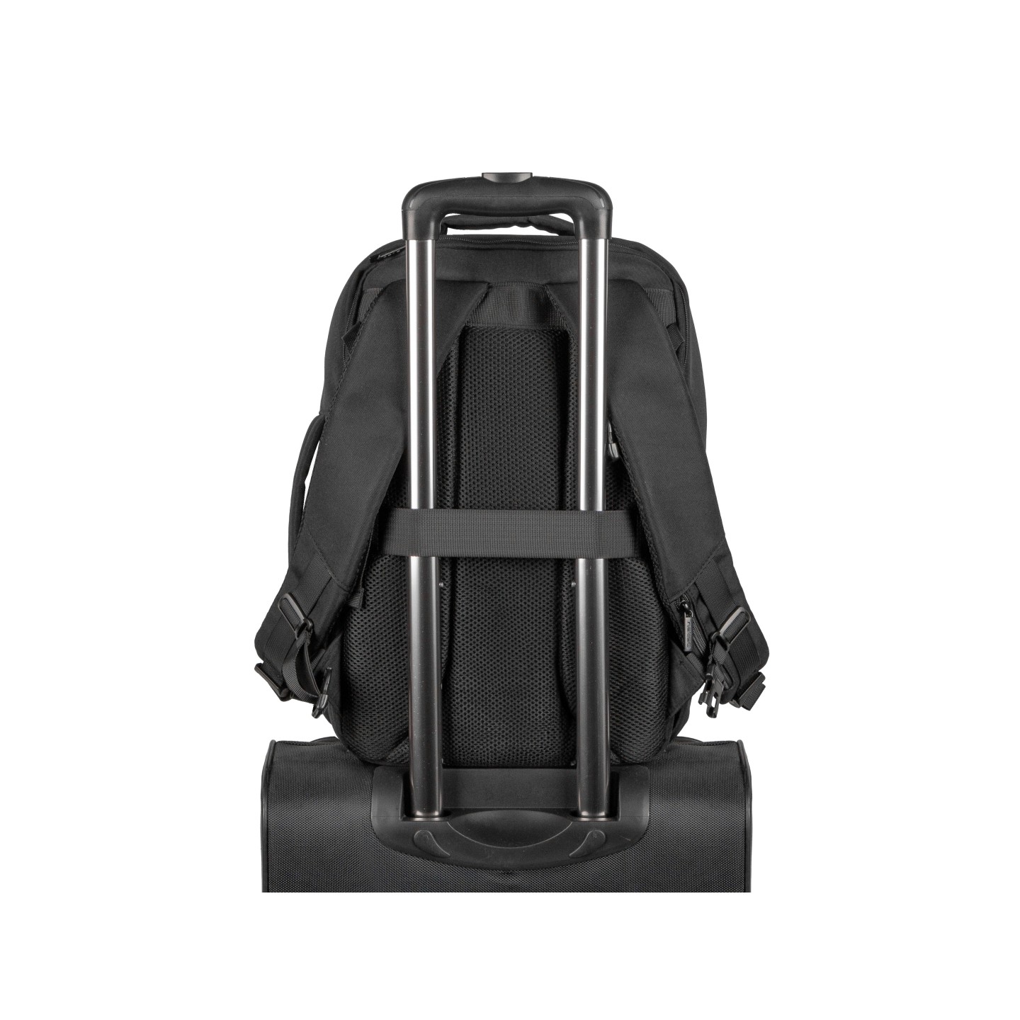 Natec Laptop Backpack - 15.6'' 19L Black CAMEL LITE — Buy in Cyprus with Fast Delivery