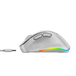 Buy Genius Mouse - 9000S Pro - Wireless+BT Rechargeable Mini RGB Ergo White in Cyprus, Nicosia, Limassol, Larnaka, Pafos