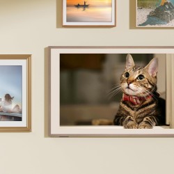 Buy Hisense Canvas TV - 55S7N - 55'' 4K Smart QLED 120hz Canvas TV in Cyprus, Nicosia, Limassol, Larnaka, Pafos