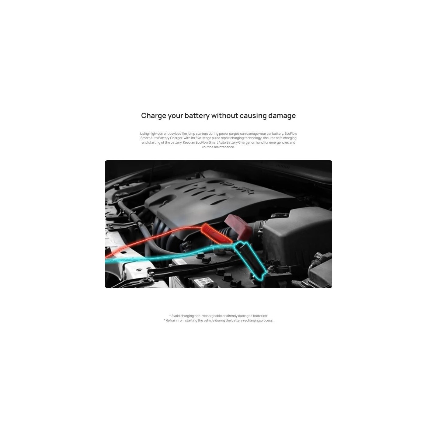 EcoFlow Smart Jump Starter - 12V/24V - Maintainer & Charger — Buy in Cyprus with Fast Delivery