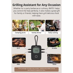 Buy Sonoff WiFi BBQ Meat Thermometer - BMT01 - WiFi BBQ Meat Thermometer in Cyprus, Nicosia, Limassol, Larnaka, Pafos