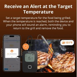 Buy Sonoff WiFi BBQ Meat Thermometer - BMT01 - WiFi BBQ Meat Thermometer in Cyprus, Nicosia, Limassol, Larnaka, Pafos