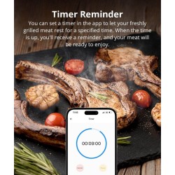 Buy Sonoff WiFi BBQ Meat Thermometer - BMT01 - WiFi BBQ Meat Thermometer in Cyprus, Nicosia, Limassol, Larnaka, Pafos