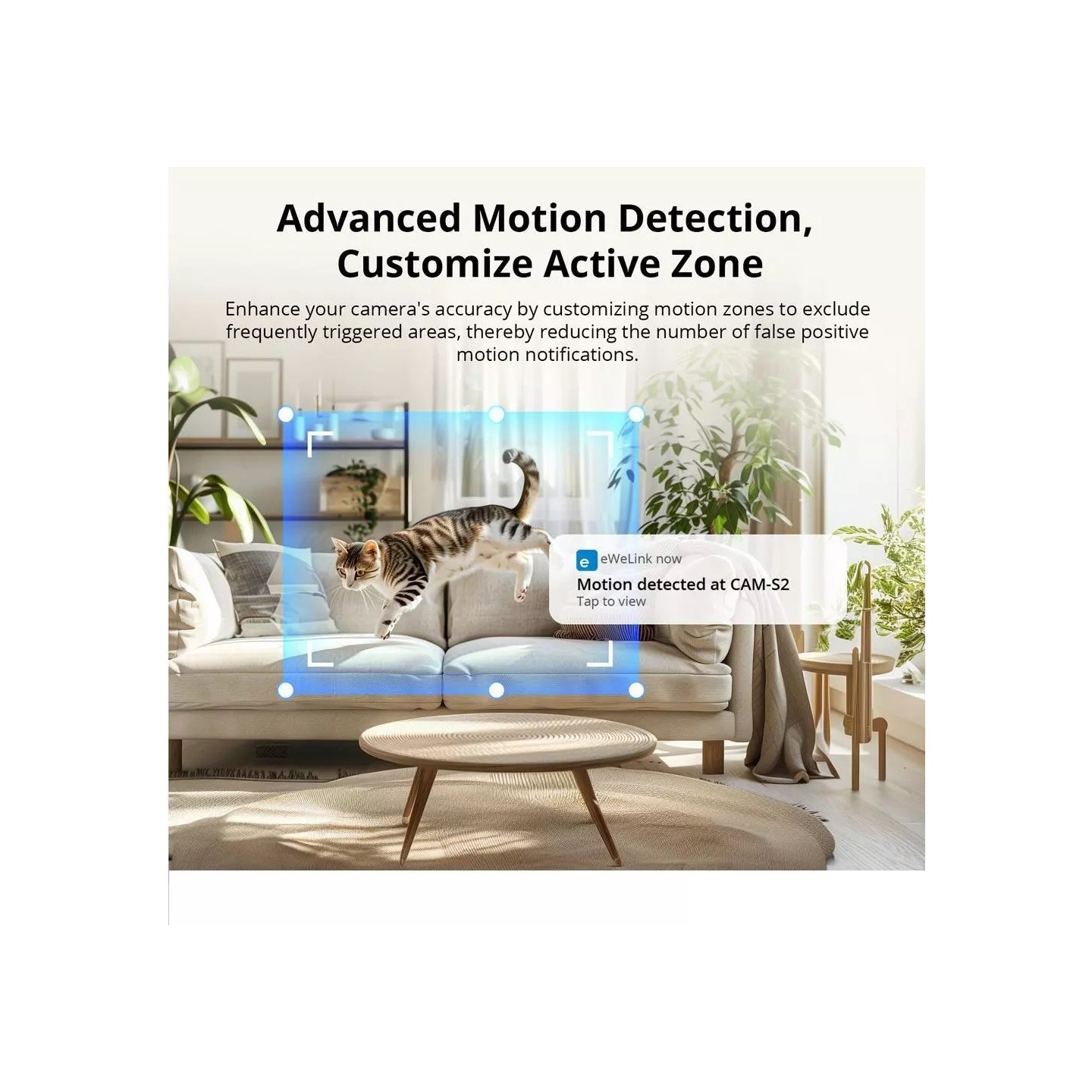 Sonoff Smart WiFi IP Security Camera - CAM-S2 — Buy in Cyprus with Fast Delivery