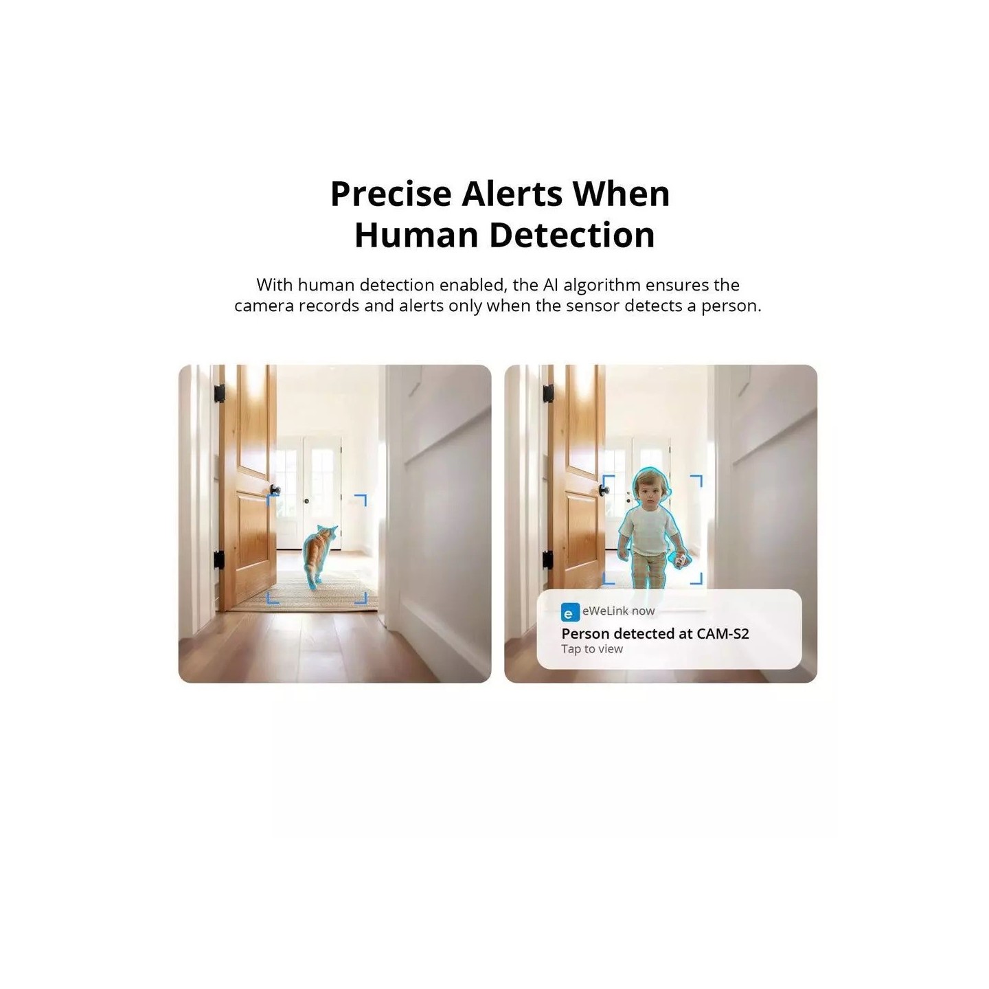 Sonoff Smart WiFi IP Security Camera - CAM-S2 — Buy in Cyprus with Fast Delivery