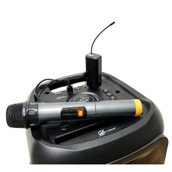 Buy N-Gear Portable Karaoke Speaker with Lights - JUKE 12 LPG - Portable Karaoke... in Cyprus, Nicosia, Limassol, Larnaka, Pafos